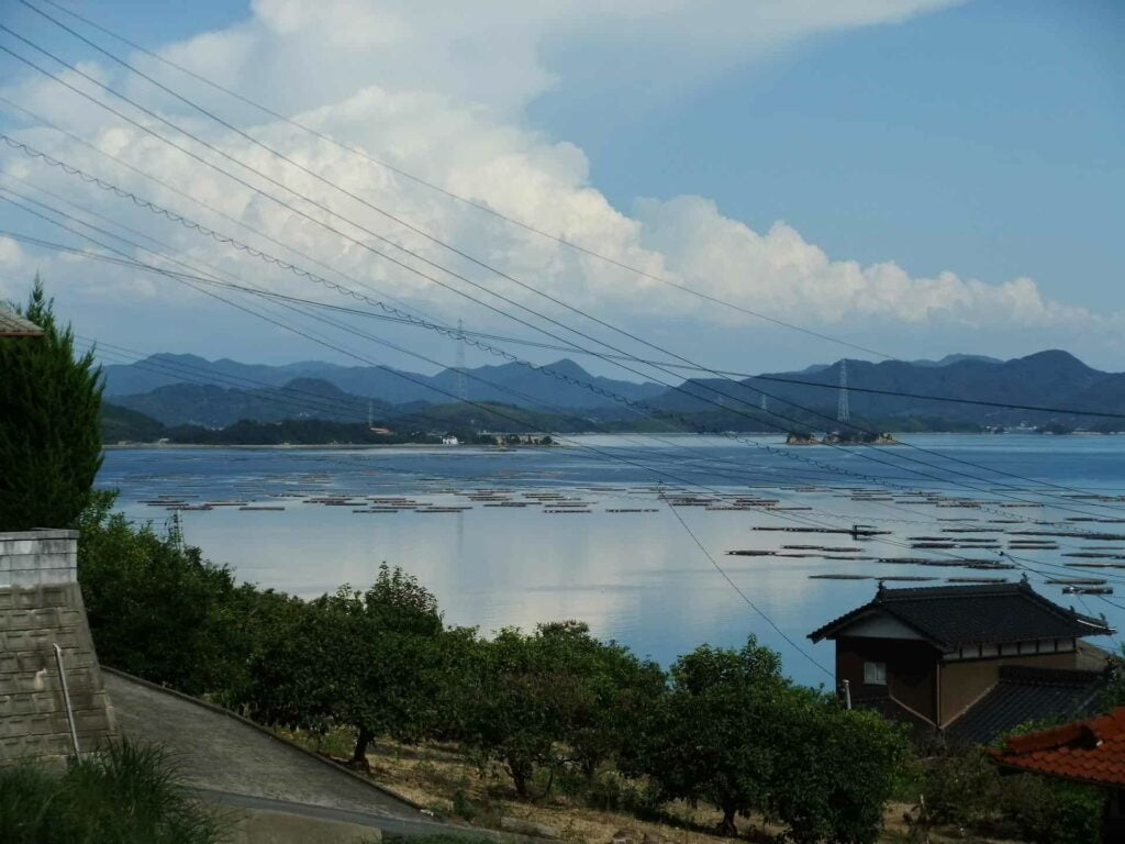 Oshima Airport (Tokyo Oshima Camelia Airport)