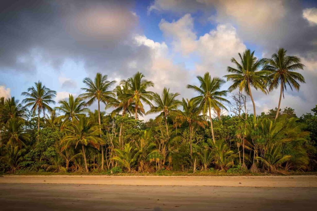 Horn Island Airport