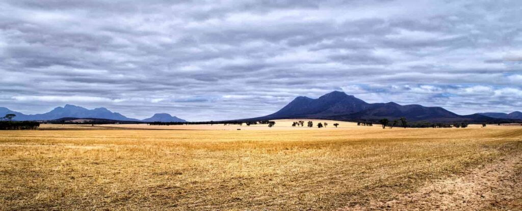 Newman Airport